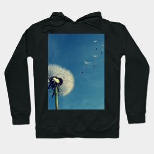 Aesthetic Flowers Retro Stylish Otaku Vaporwave Dandelion Eboy or E-boy and girl gifts Hoodie